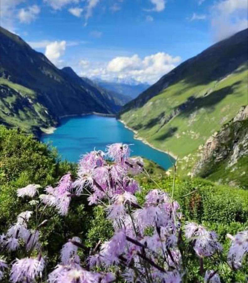 Landhof Aigner Otel Mittersill Dış mekan fotoğraf